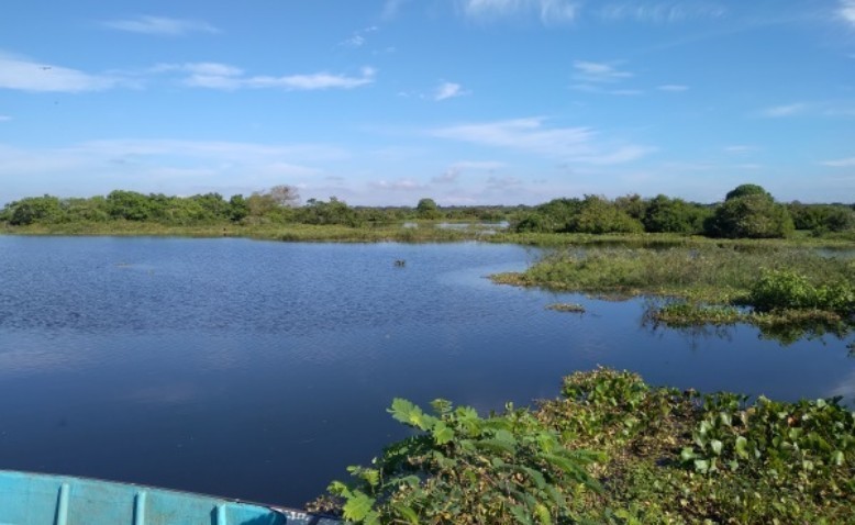 Entorno Natural de Chiriguaná